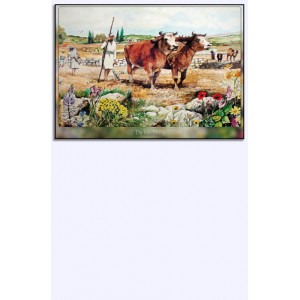 Miniposterset - 'Bijbelse taferelen, Rino Visser (16 delig)